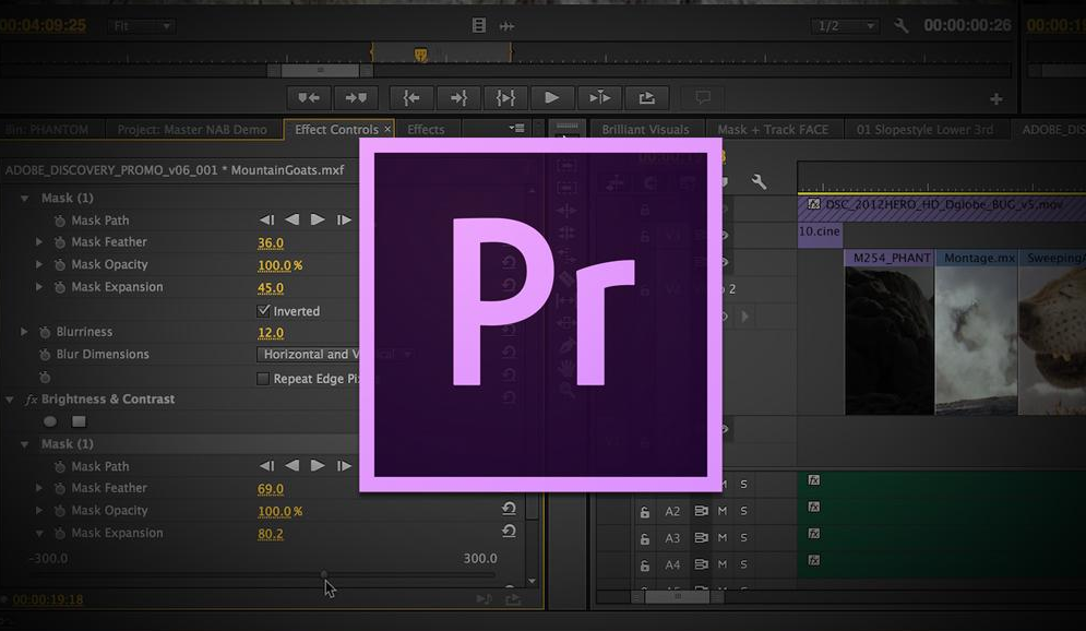 adobe premiere 视频教程下载